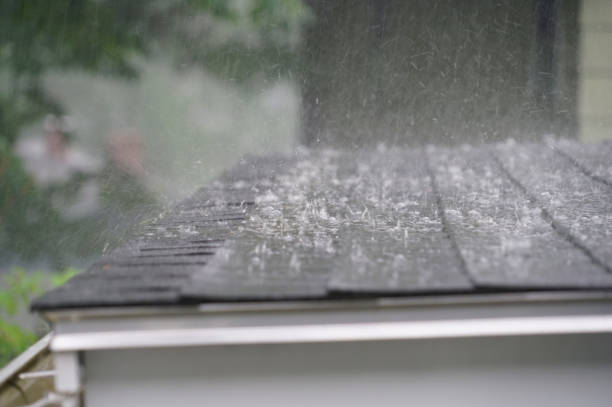 Best Roof Installation  in Wyndmoor, PA