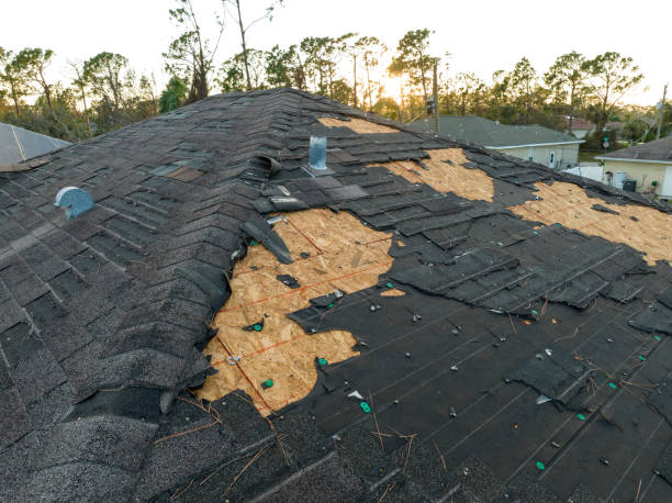 Best Metal Roofing Installation  in Wyndmoor, PA